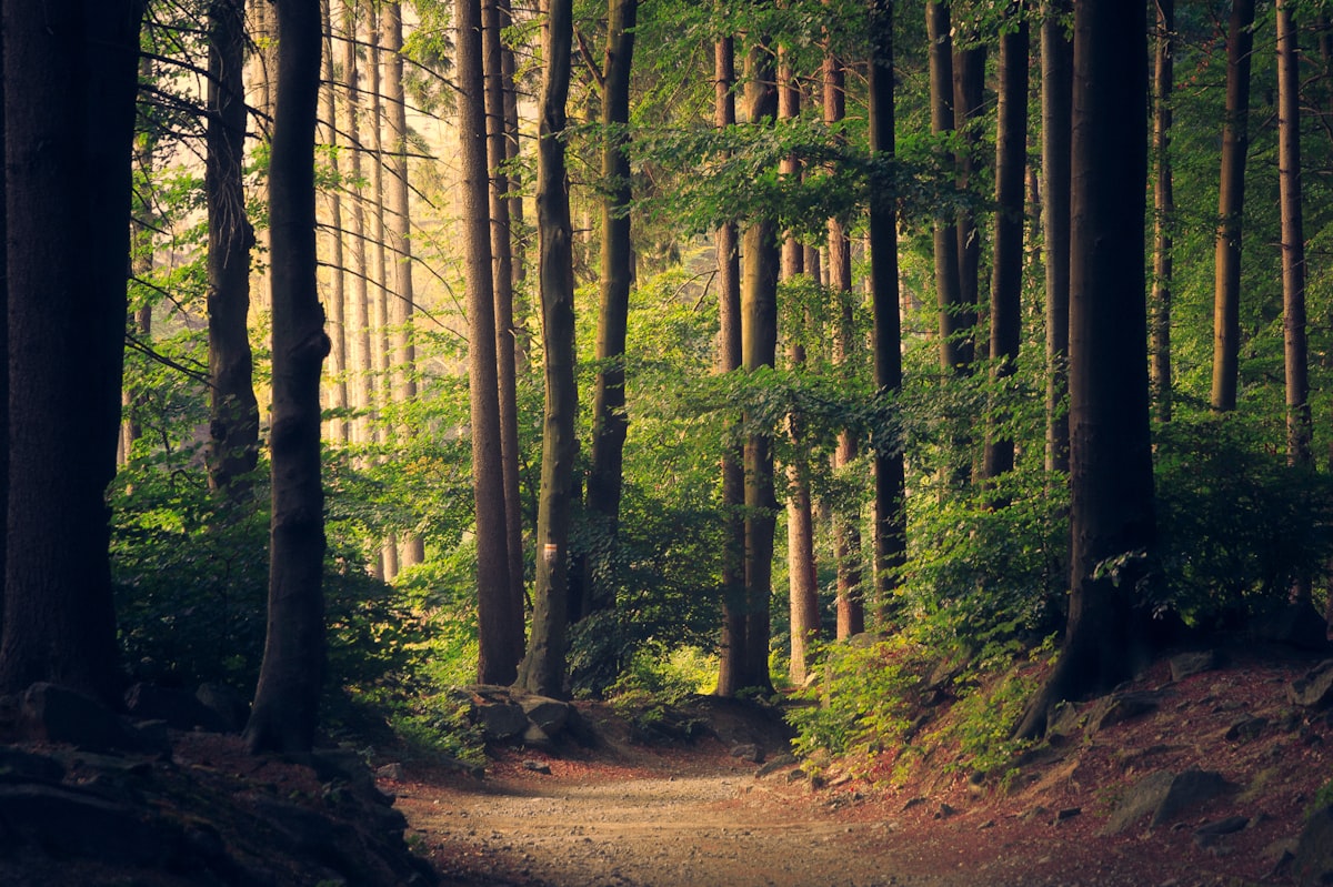 End-of-Season Sale Calendar for Family Outdoor Gear